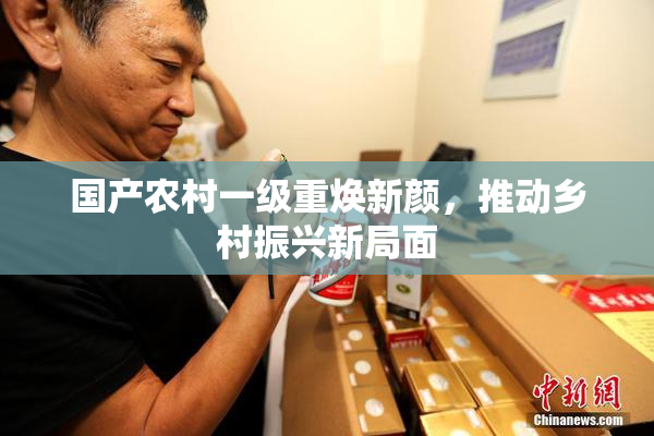 国产农村一级重焕新颜，推动乡村振兴新局面