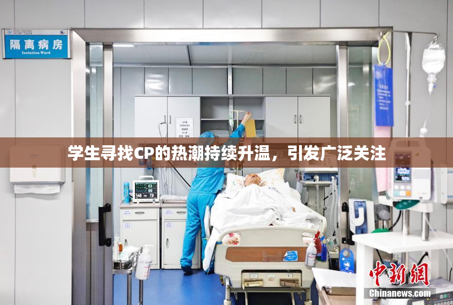 学生寻找CP的热潮持续升温，引发广泛关注