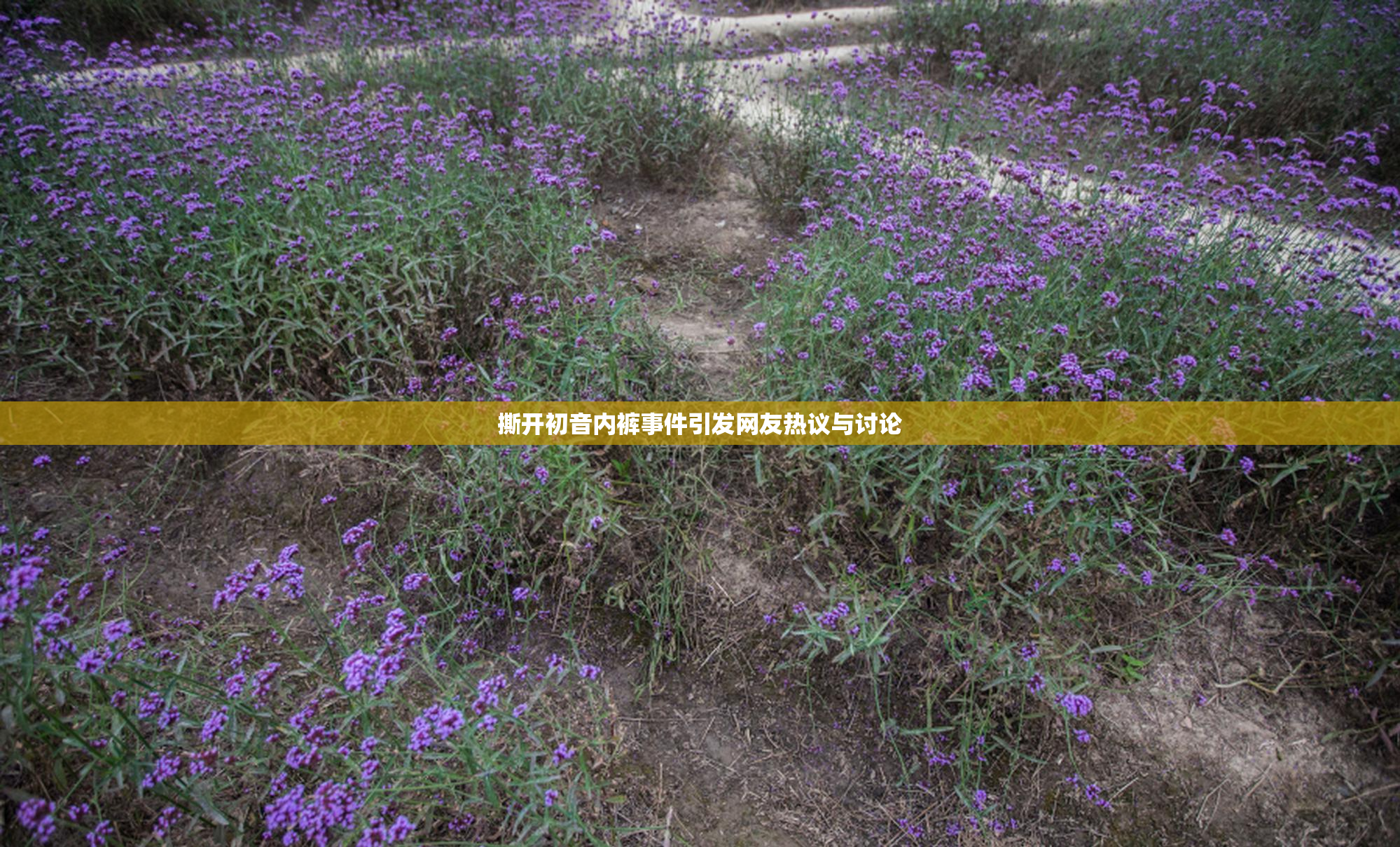 撕开初音内裤事件引发网友热议与讨论