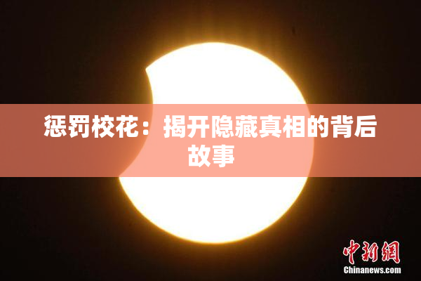惩罚校花：揭开隐藏真相的背后故事