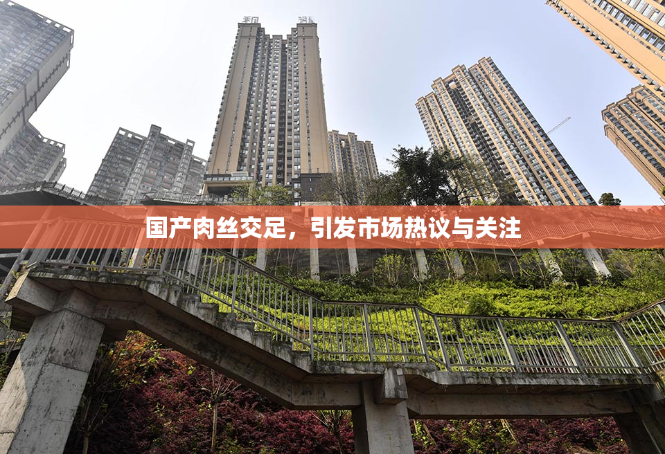 国产肉丝交足，引发市场热议与关注