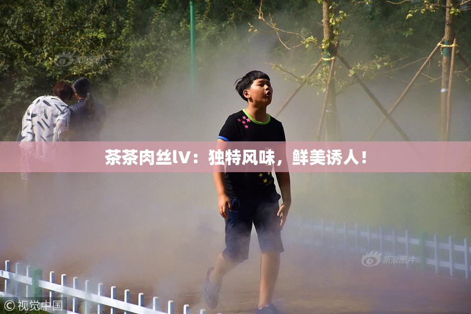 茶茶肉丝lV：独特风味，鲜美诱人！