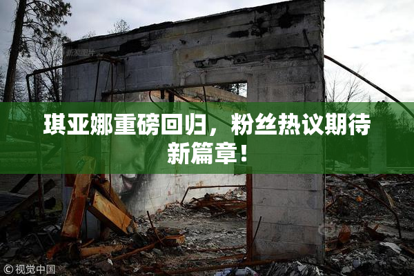 琪亚娜重磅回归，粉丝热议期待新篇章！