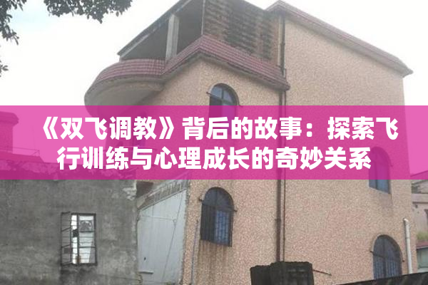 《双飞调教》背后的故事：探索飞行训练与心理成长的奇妙关系