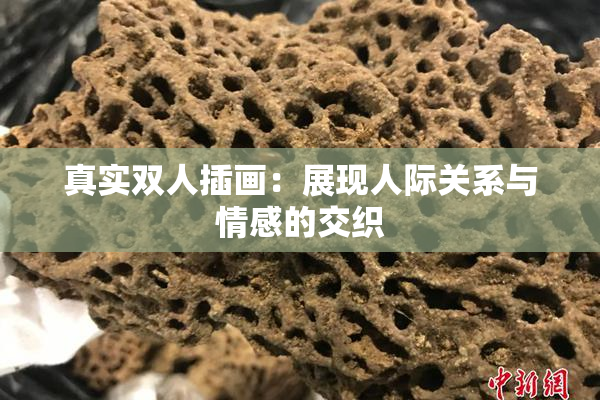 真实双人插画：展现人际关系与情感的交织