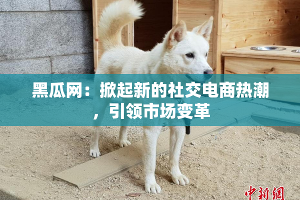 黑瓜网：掀起新的社交电商热潮，引领市场变革