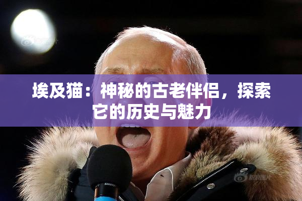 埃及猫：神秘的古老伴侣，探索它的历史与魅力