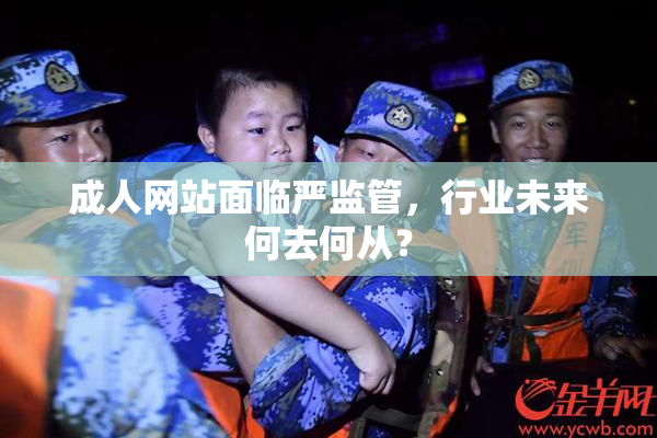 成人网站面临严监管，行业未来何去何从？
