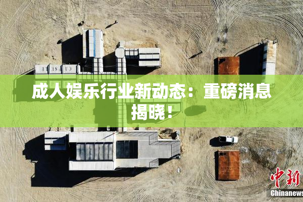 成人娱乐行业新动态：重磅消息揭晓！