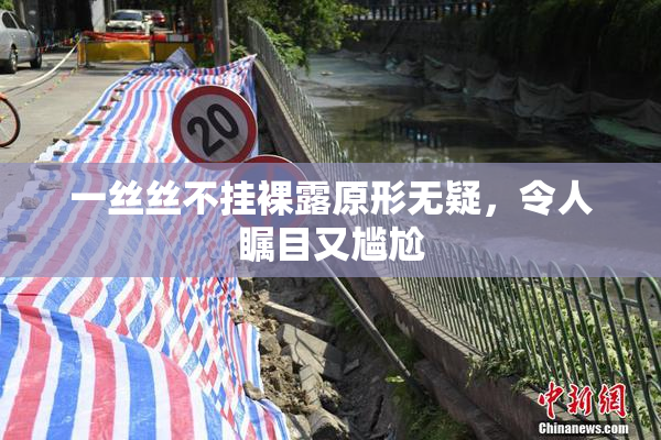 一丝丝不挂裸露原形无疑，令人瞩目又尴尬