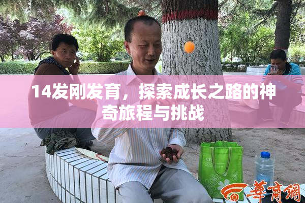 14发刚发育，探索成长之路的神奇旅程与挑战