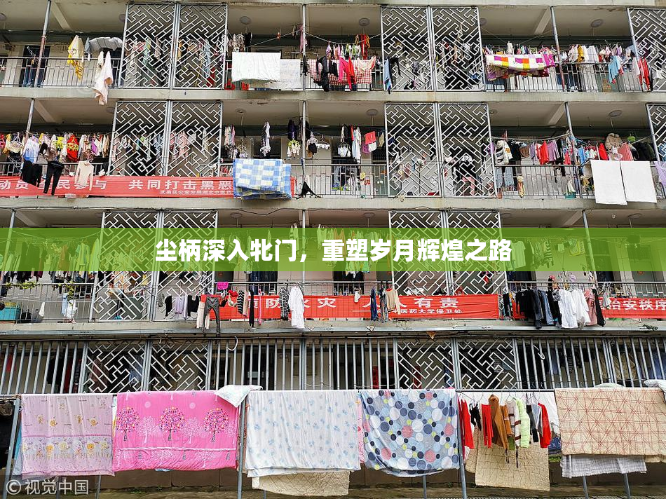 尘柄深入牝门，重塑岁月辉煌之路