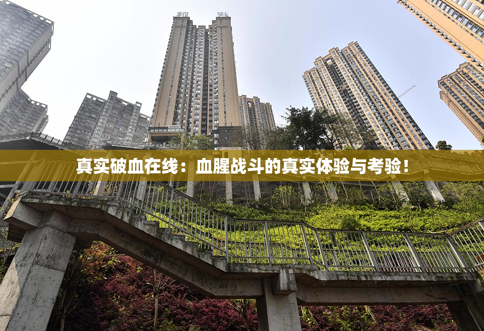 真实破血在线：血腥战斗的真实体验与考验！