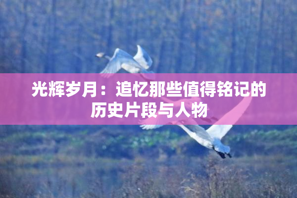 光辉岁月：追忆那些值得铭记的历史片段与人物