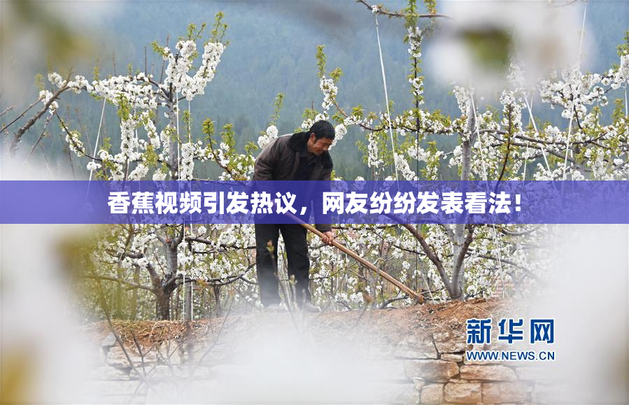 香蕉视频引发热议，网友纷纷发表看法！
