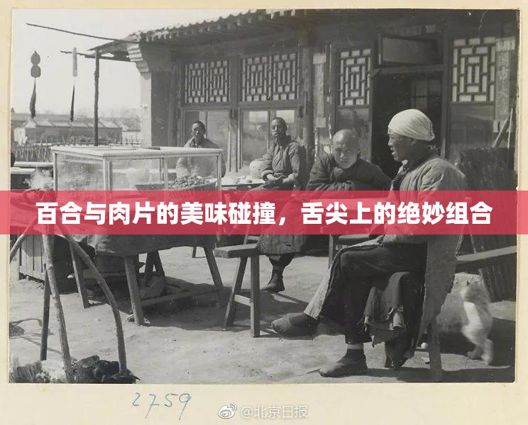 百合与肉片的美味碰撞，舌尖上的绝妙组合