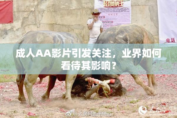 成人AA影片引发关注，业界如何看待其影响？