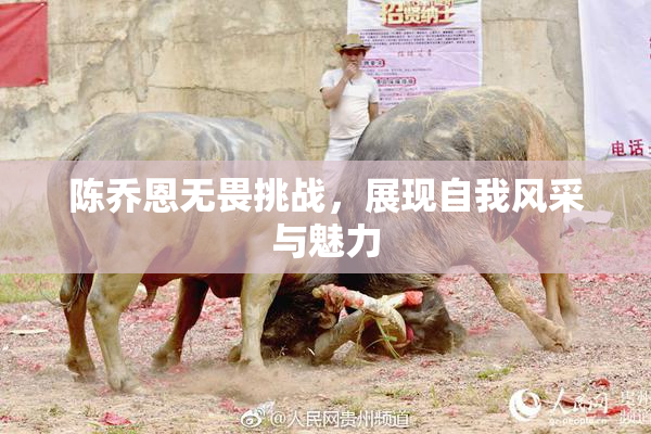 陈乔恩无畏挑战，展现自我风采与魅力