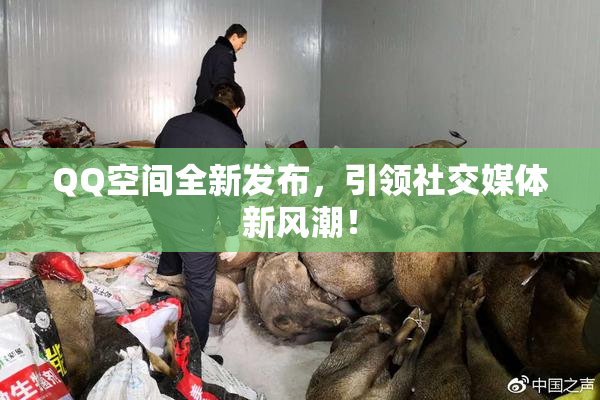 QQ空间全新发布，引领社交媒体新风潮！