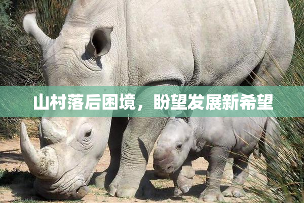 山村落后困境，盼望发展新希望