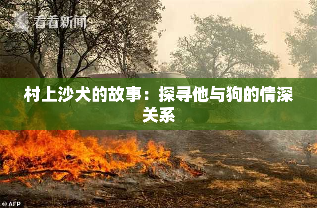 村上沙犬的故事：探寻他与狗的情深关系