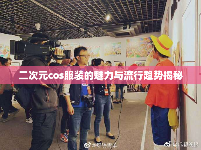 二次元cos服装的魅力与流行趋势揭秘
