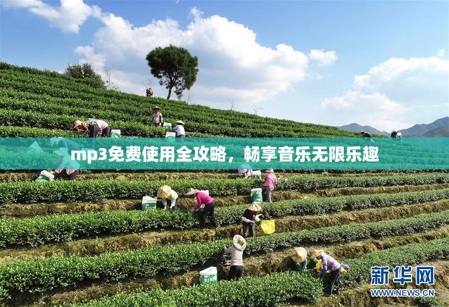 mp3免费使用全攻略，畅享音乐无限乐趣