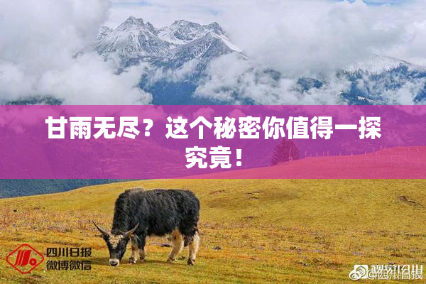 甘雨无尽？这个秘密你值得一探究竟！