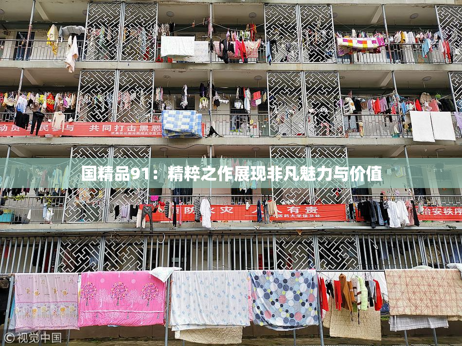 国精品91：精粹之作展现非凡魅力与价值