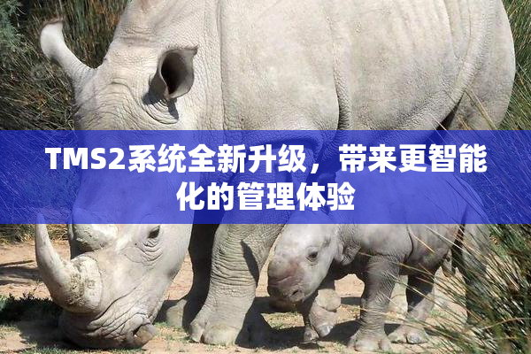 TMS2系统全新升级，带来更智能化的管理体验