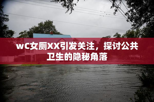 wC女厕XX引发关注，探讨公共卫生的隐秘角落