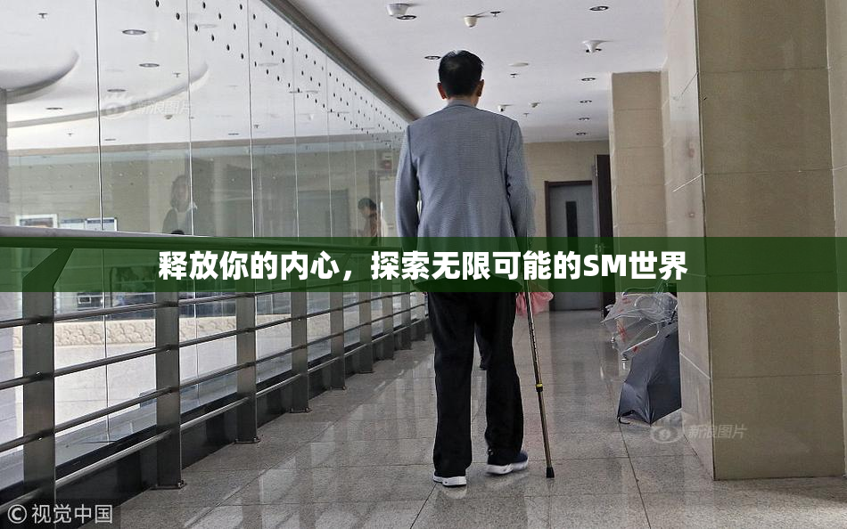 释放你的内心，探索无限可能的SM世界