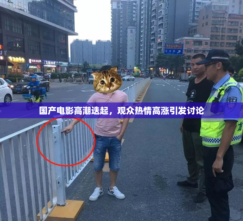 国产电影高潮迭起，观众热情高涨引发讨论