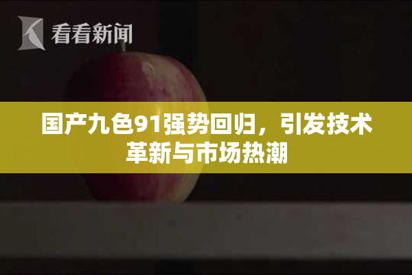 国产九色91强势回归，引发技术革新与市场热潮