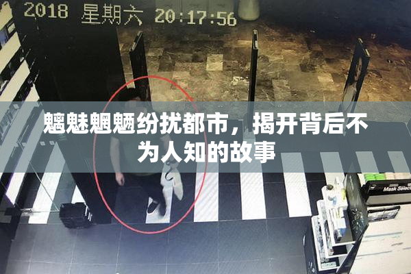魑魅魍魉纷扰都市，揭开背后不为人知的故事