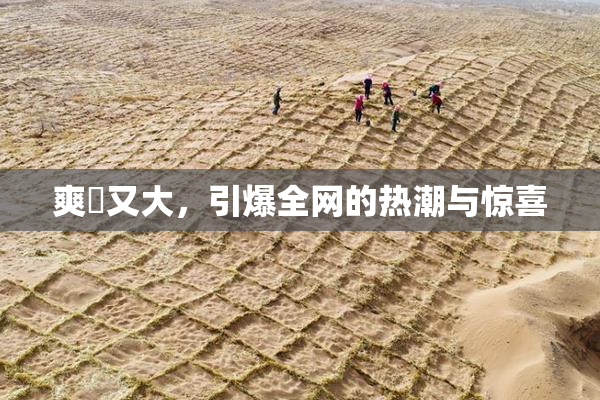 爽擼又大，引爆全网的热潮与惊喜