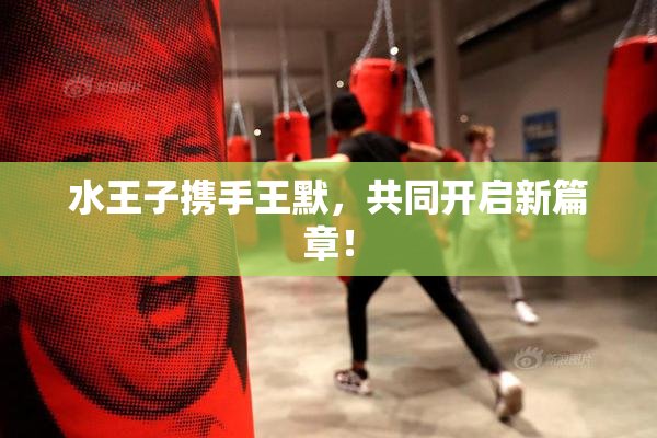 水王子携手王默，共同开启新篇章！