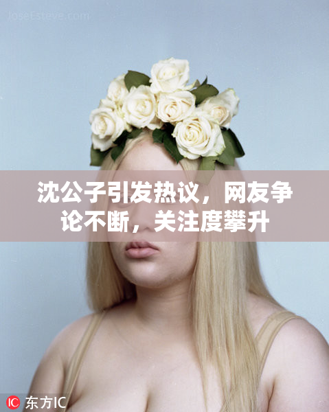 沈公子引发热议，网友争论不断，关注度攀升