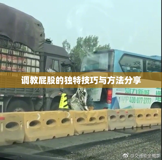 调教屁股的独特技巧与方法分享
