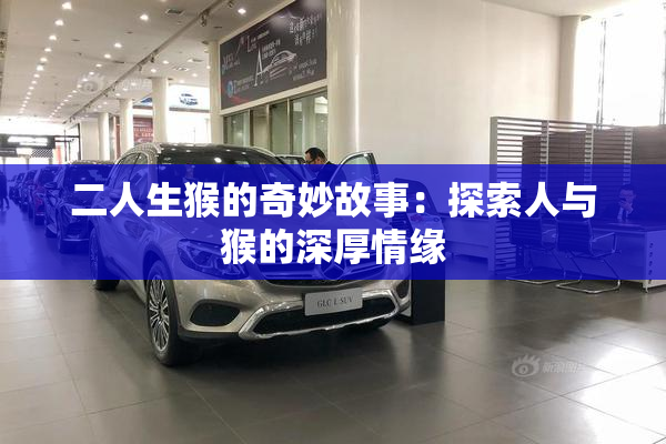 二人生猴的奇妙故事：探索人与猴的深厚情缘