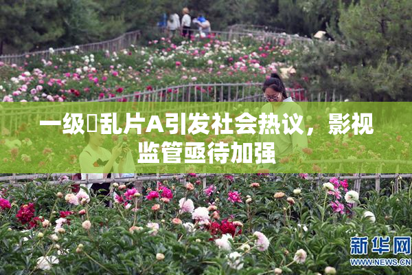 一级婬乱片A引发社会热议，影视监管亟待加强