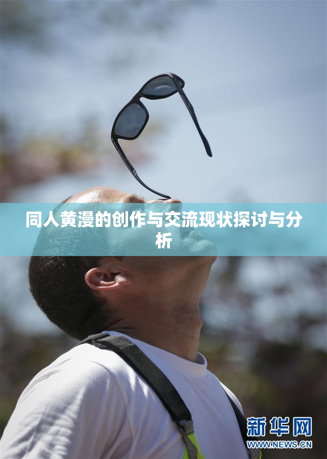 同人黄漫的创作与交流现状探讨与分析