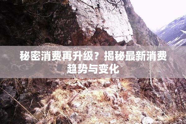 秘密消费再升级？揭秘最新消费趋势与变化