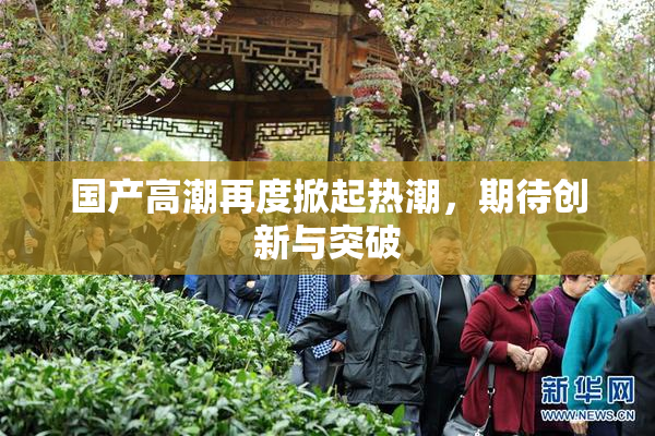 国产高潮再度掀起热潮，期待创新与突破