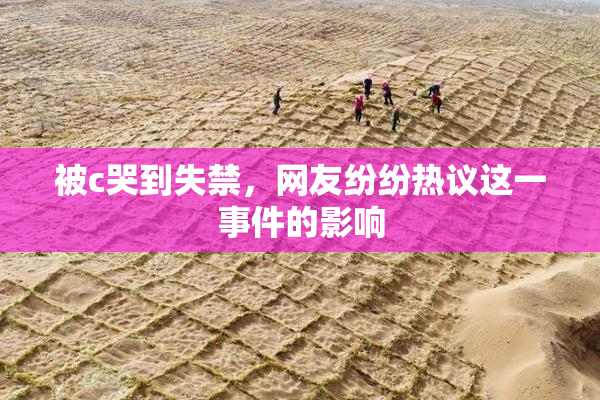 被c哭到失禁，网友纷纷热议这一事件的影响