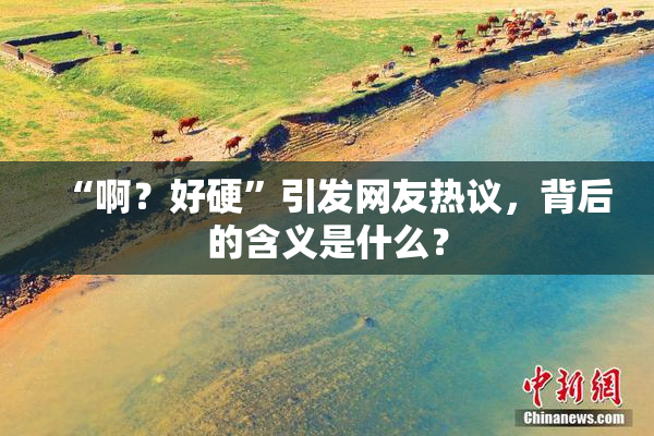 “啊？好硬”引发网友热议，背后的含义是什么？