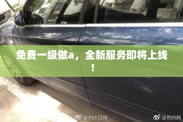 免费一级做a，全新服务即将上线！