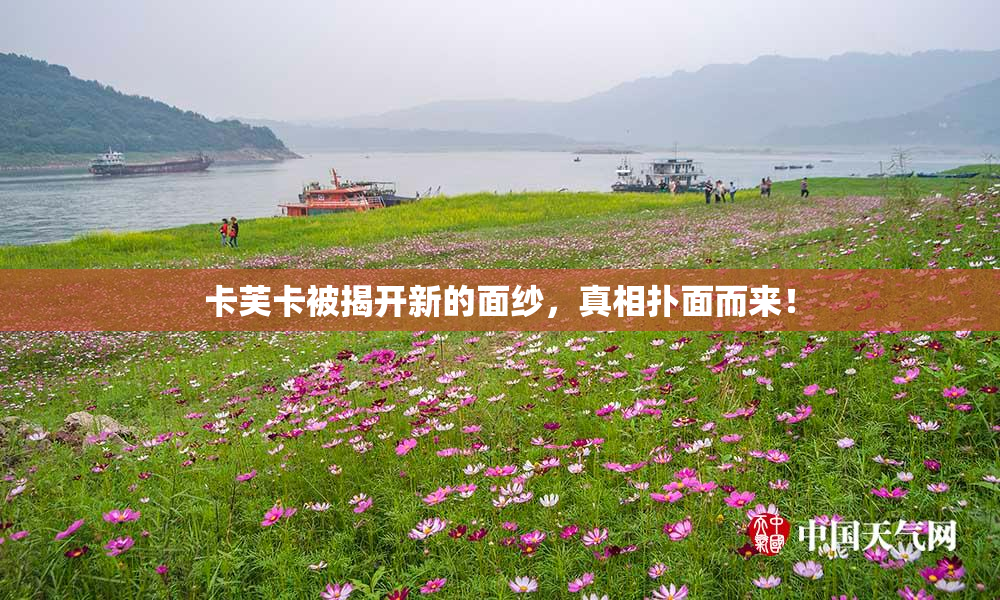 卡芙卡被揭开新的面纱，真相扑面而来！
