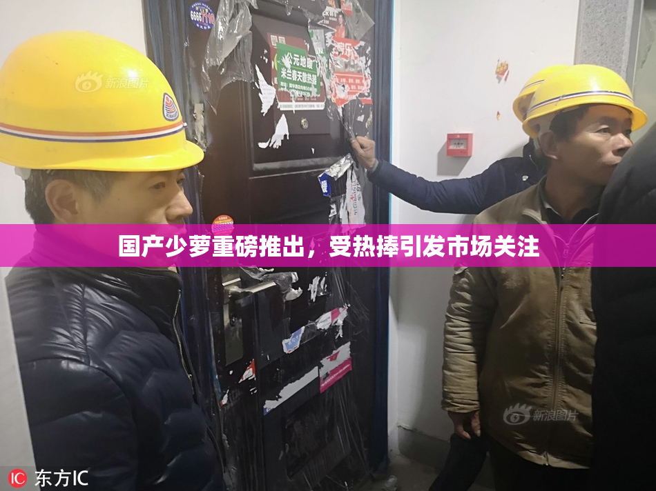 国产少萝重磅推出，受热捧引发市场关注