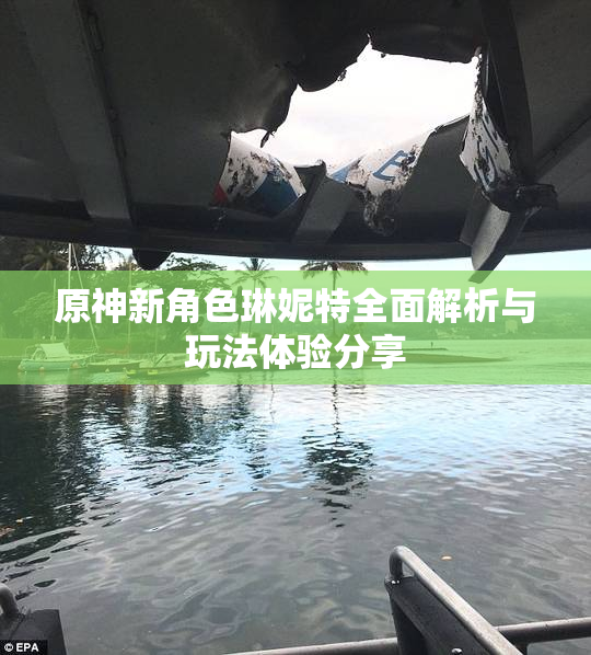原神新角色琳妮特全面解析与玩法体验分享